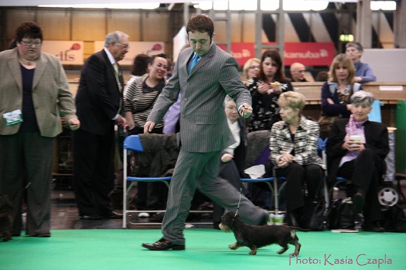 Crufts2011_2 1082.jpg